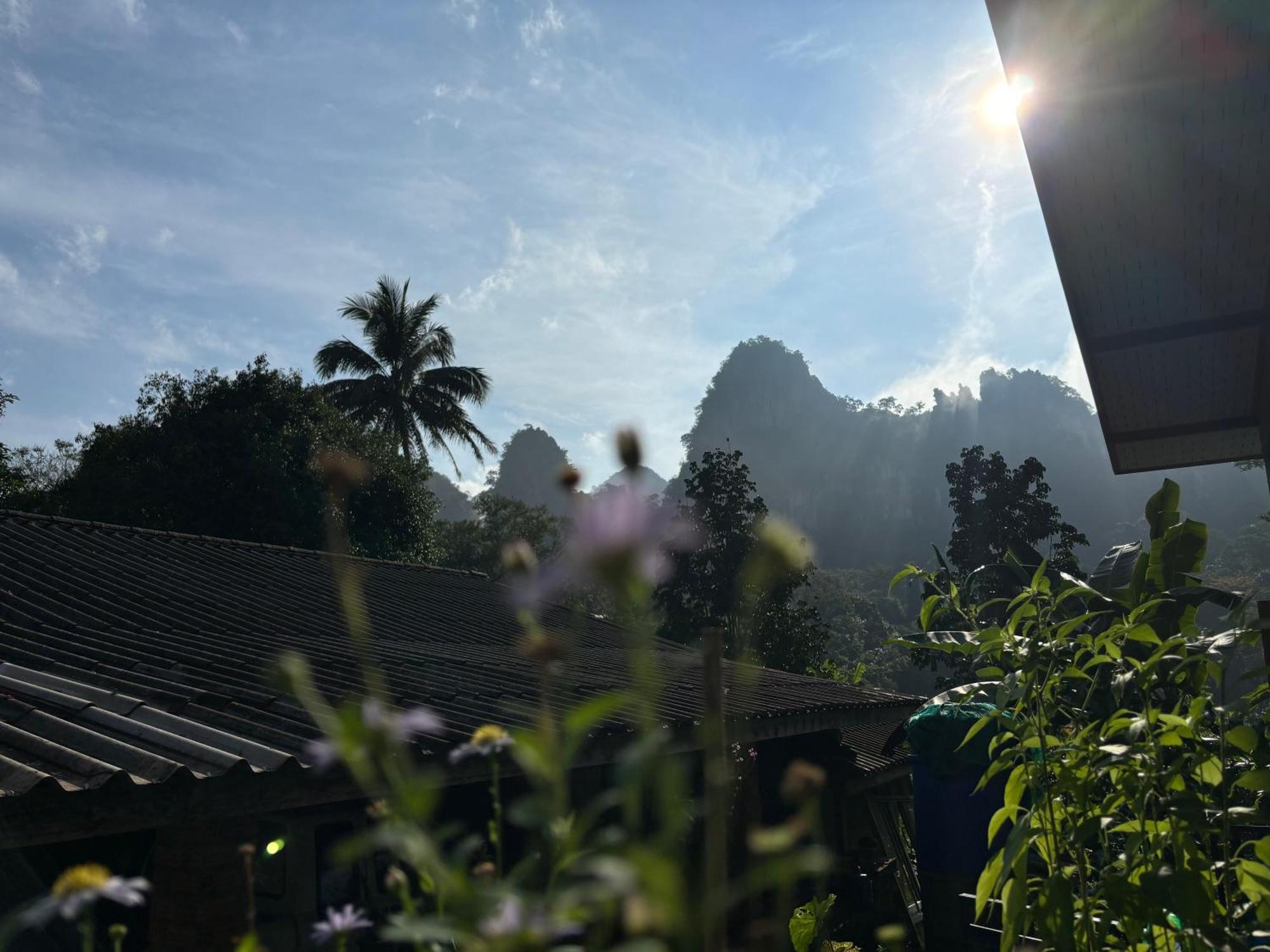 Khao Sok Backpacker Hostel Khao Sok National Park Kültér fotó